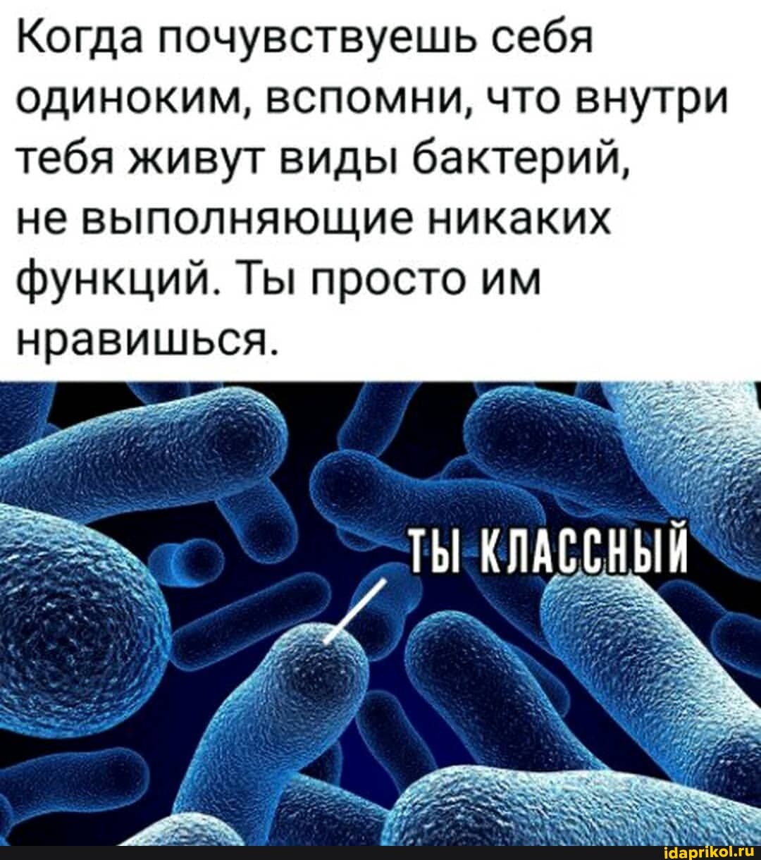 Когда почувствуешь себя одиноким, вспомни, что внутри тебя живут виды бактерий,
не выполняющие никаких функций. Ты просто им нравишься.
ТЫ КЛАССНЫЙ