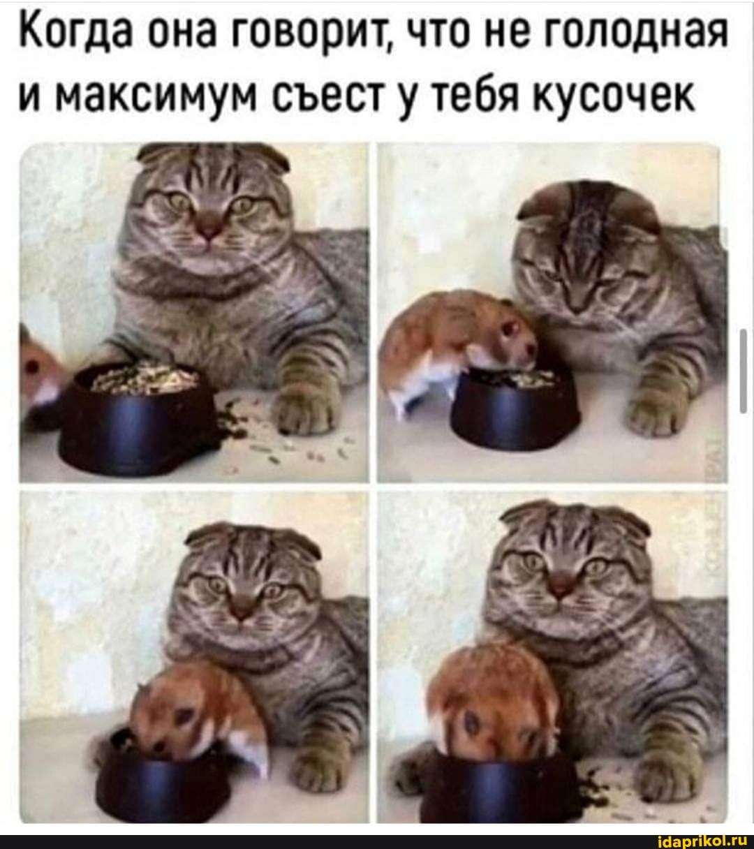 Когда она говорит, что не голодная и максимум сест у тебя кусочек