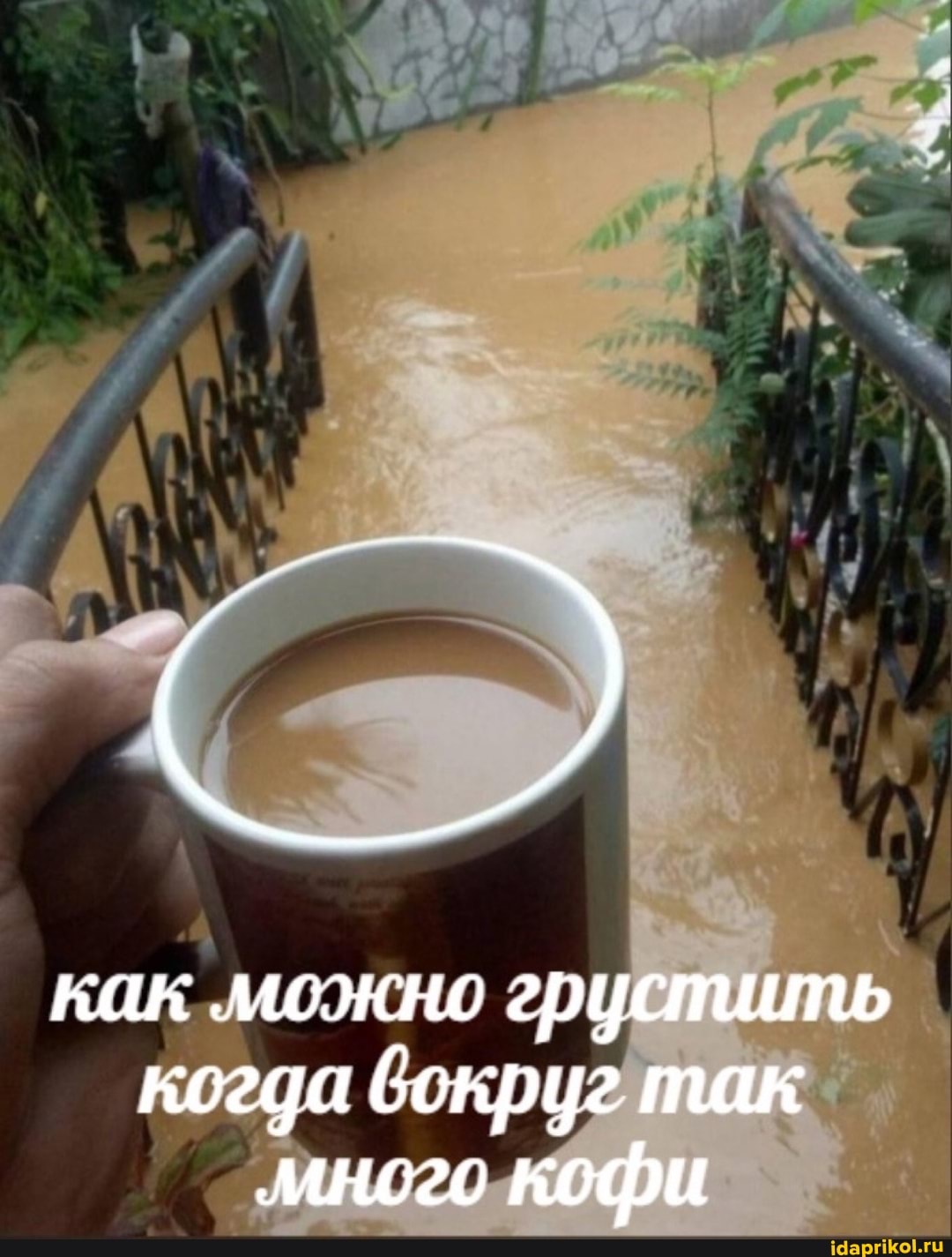 как моэкно грустить когда бокруг так много кофи