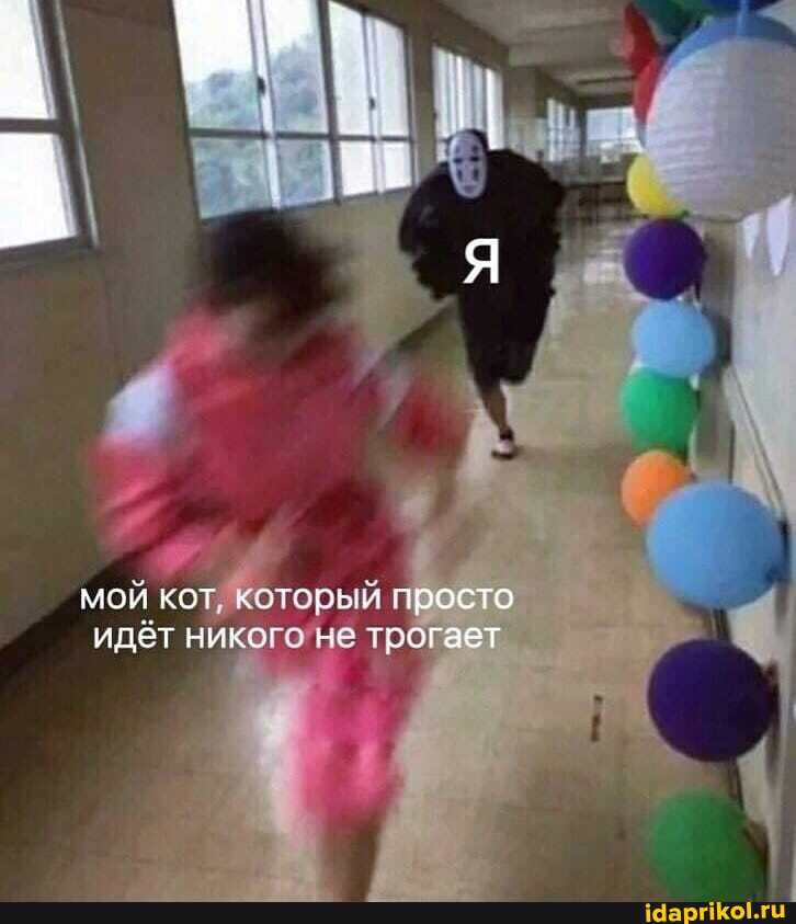 мой кот, который просто идёт никого не трогает