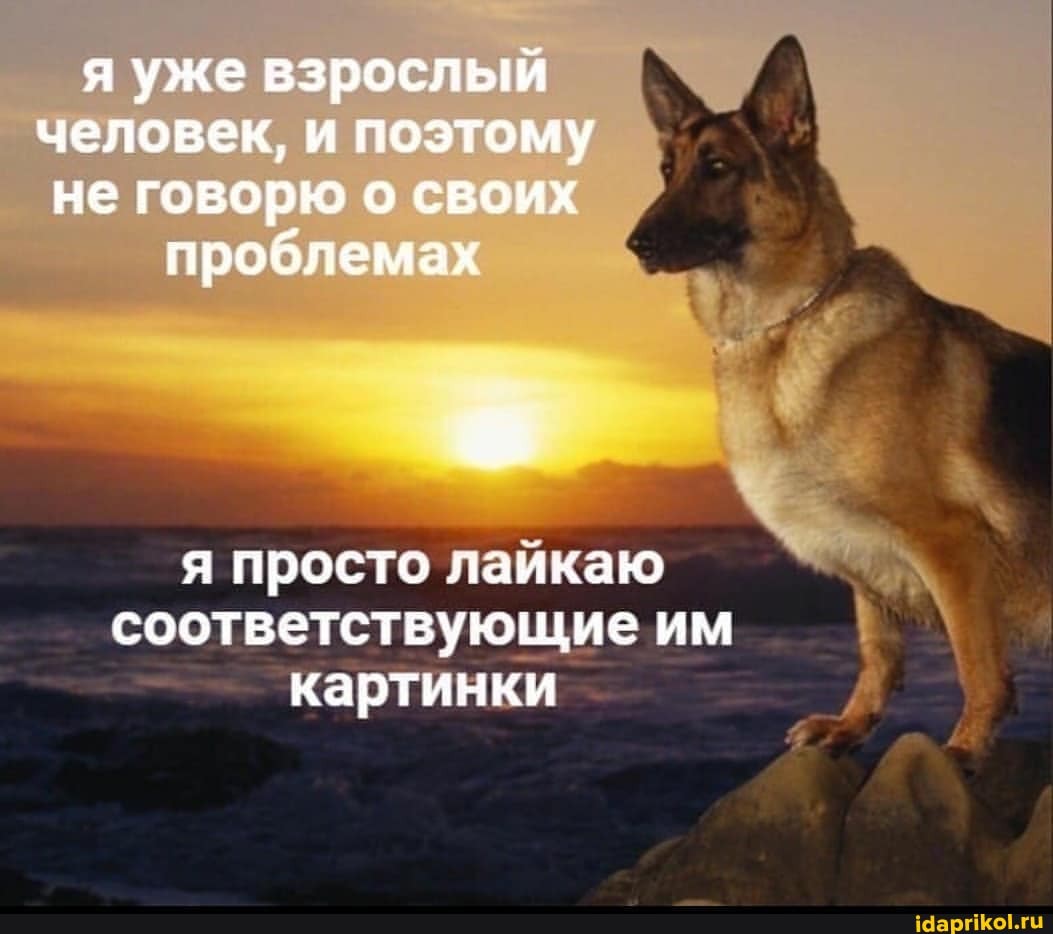 я уже взрослый человек, и поэтому не говорю о своих проблемах
я просто лайкаю соответствующие им картинки
