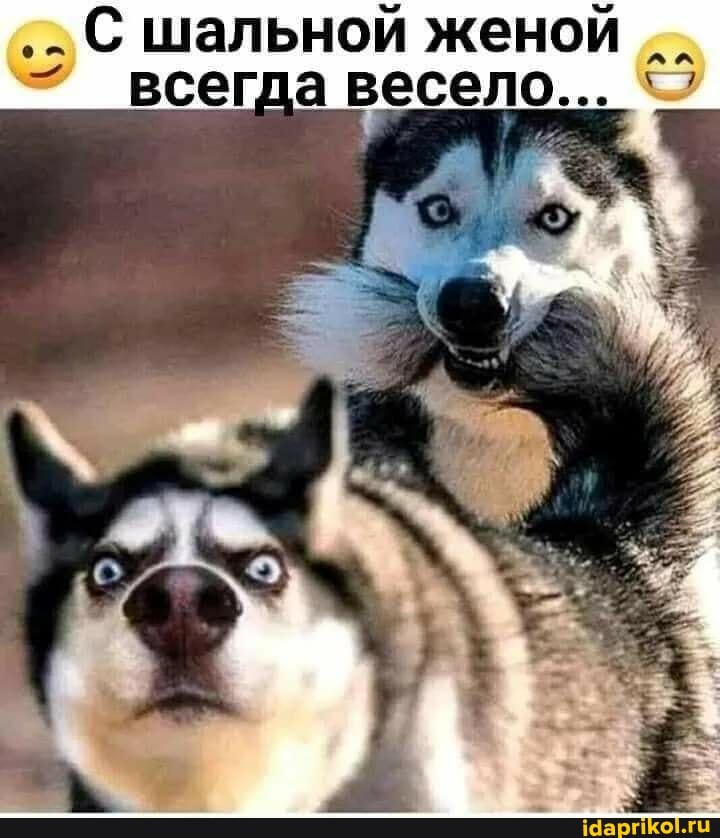 шальной женой