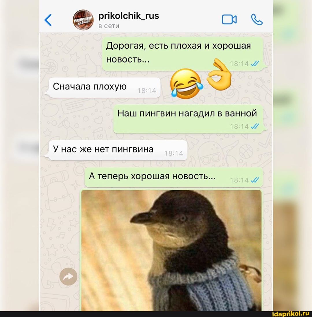 в сети
Дорогая, есть плохая и хорошая
Наш пингвин нагадил в ванной
У нас же нет пингвина
А теперь хорошая новость...
и