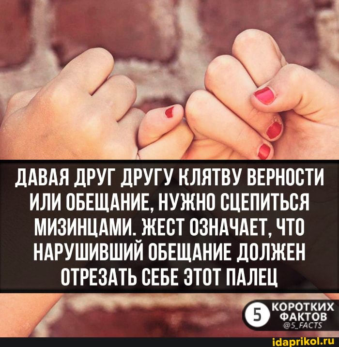 ДАВАЯ ДРУГ ДРУГУ КЛЯТВУ ВЕРНОСТИ ИЛИ ОБЕЩАНИЕ, НУЖНО СЦЕПИТЬСЯ МИЗИНЦАМИ. ЖЕСТ ОЗНАЧАЕТ, ЧТО НАРУШИВШИЙ ОБЕЩАНИЕ ДОЛЖЕН
ОТРЕЗАТЬ СЕБЕ ЭТОТ ПАЛЕЦ
(5
КОРОТКИХ ФАКТОВ