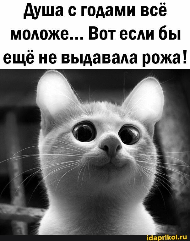 Душа с годами всё моложе... Вот если бы ещё не выдавала рожа!