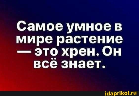 Самое умное в
мире растение
- это хрен. Он всё знает.