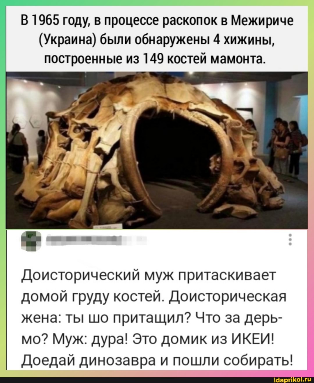 В 1965 году, в процессе раскопок в Межириче
(Украина) были обнаружены 4 хижины, построенные из 149 костей мамонта.
Доисторический муж притаскивает домой груду костей. Доисторическая жена: ты шо притащил? Что за дерь- мо? Муж: дура! Это домик из ИКЕИ!
Доедай динозавра и пошли собирать!