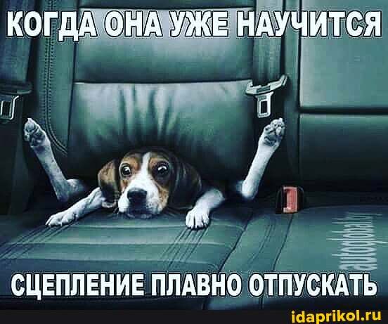 КОГДА ОНА УЖЕ НАУЧИТСЯ
СЦЕПЛЕНИЕ "ПЛАВНО ОТПУСКАТЬ
