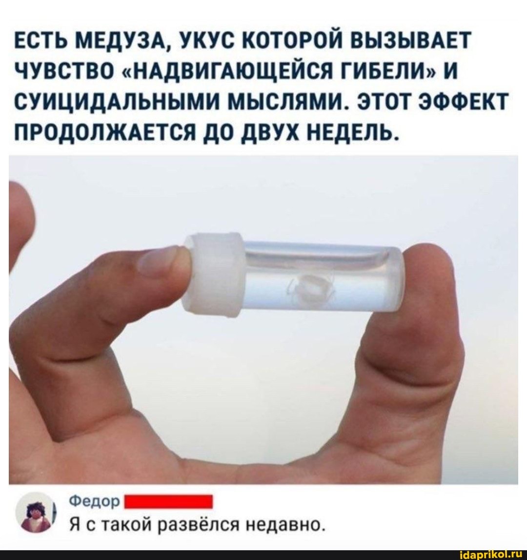 ЕСТЬ МЕДУЗА, УКУС КОТОРОЙ ВЫЗЫВАЕТ ЧУВСТВО "НАДВИГАЮЩЕЙСЯ ГИБЕЛИ" И СУИЦИДАЛЬНЫМИ МЫСЛЯМИ. ЭТОТ ЭФФЕКТ ПРОДОЛЖАЕТСЯ ДО ДВУХ НЕДЕЛЬ.
Федор
& Я с такой развёлся недавно.