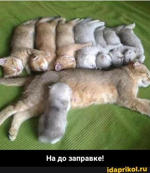 На до заправке! - На до заправке!