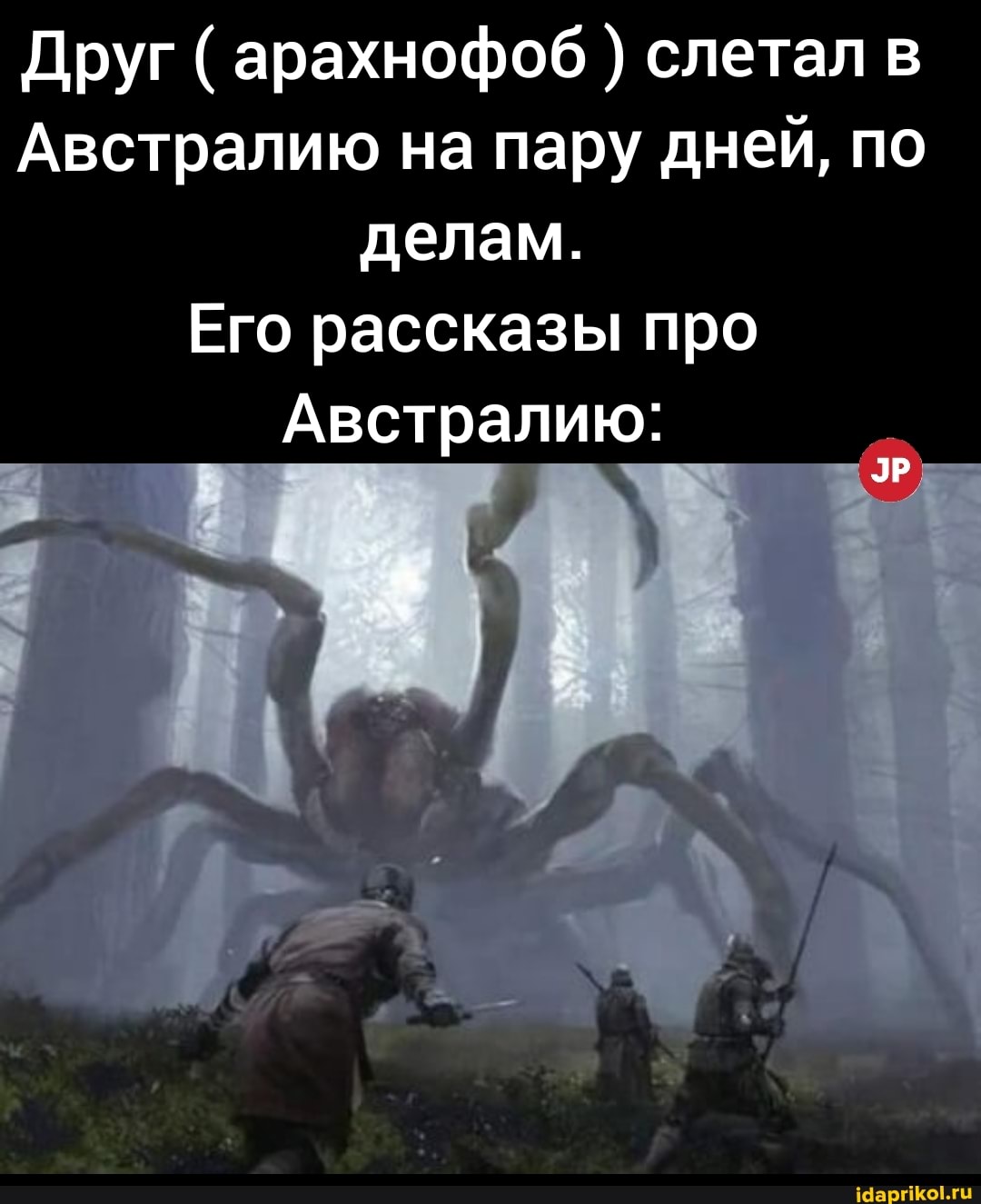 Друг ( арахнофоб слетал в
Австралию на пару дней, по делам.
Его рассказы про
Австралию:
ЭР