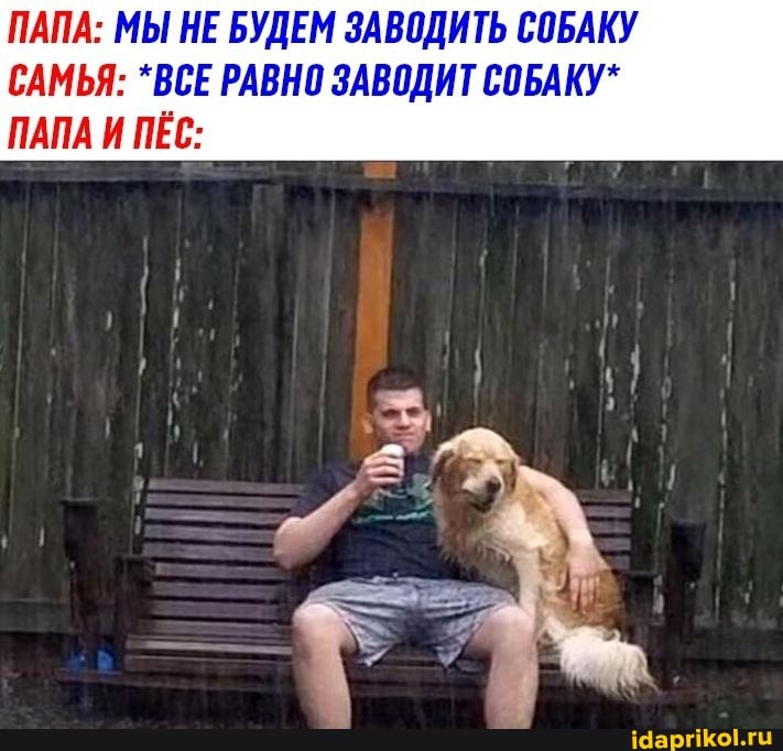 ПАПА: МЫ НЕ БУДЕМ ЗАВОДИТЬ СОБАКУ САМЬЯ: *ВСЕ РАВНО ЗАВОДИТ СОБАКУ*
ПАПА И ПЁС: