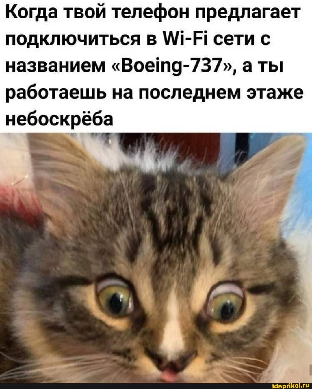 Когда твой телефон предлагает подключиться в сети с названием "Воетд-737", а ты работаешь на последнем этаже небоскрёба