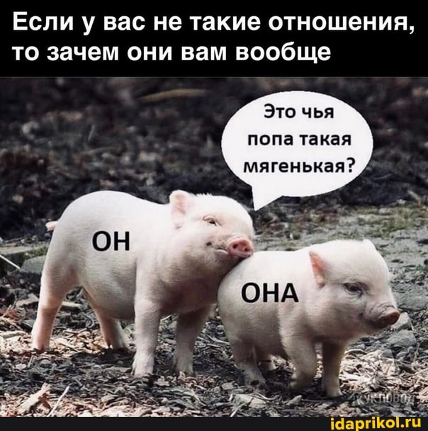Если у вас не такие отношения, то зачем они вам вообще
Это чья
попа такая мягенькая?