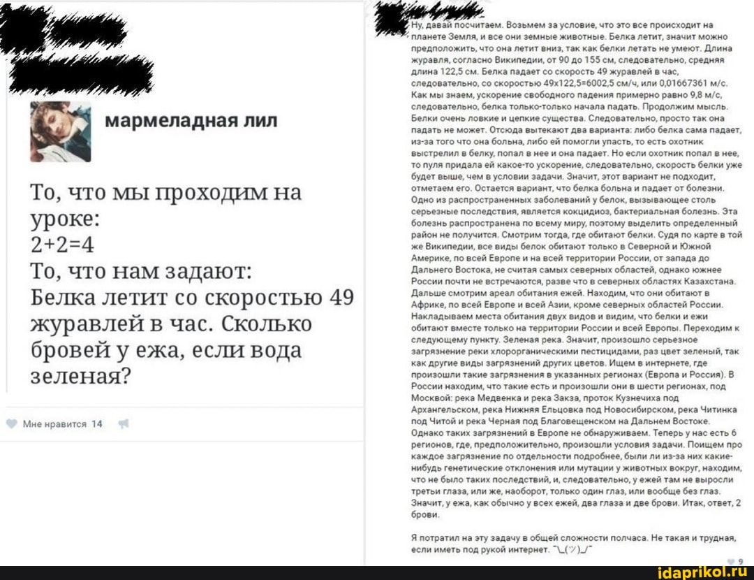 мармеладная лил
То, что мы проходим на уроке:
То, что нам задают:
Белка летит со скоростью 49 журавлей в час. Сколько бровей у ежа, если вода зеленая?
Мне нравится 14
Ну, давай посчитаем. Возьмем за условие, что это все происходит на
планете Земля, и все они земные животные. Белка летит, значит можно предположить, что она летит вниз, так как белки летать не умеют. Длина журавля, согласно Википедии, от 90 до 155 см, следовательно, средняя длина 122,5 см. Белка падает со скорость 49 журавлей в час, следовательно, со скоростью или 001667361
Как мы знаем, ускорение свободного падения примерно равно
'следовательно, белка только-только начала падать. Продолжим мысль.
Белки очень ловкие и цепкие существа. Следовательно, просто так она падать не может. Отсюда вытекают два варианта: либо белка сама падает, из-за того что она больна, либо ей помогли упасть, то есть охотник выстрелил белку, попал нее и она падает. Но если охотник попал в нее, то пуля придала ей какое-то ускорение, следовательно, скорость белки уже будет выше, чем в условии задачи. Значит, этот вариант не подходит, отметаем его. Остается вариант, что белка больна и падает от болезни.
Одно из распространенных заболеваний у белок, вызывающее столь
'серьезные последствия, является кокцидиоз, бактериальная болезнь. Эта болезнь распространена по всему миру, поэтому выделить определенны район не получится. Смотрим тогда, где обитают белки. Судя по карте в той же Википедии, все виды белок обитают только в Северной и Южной
Америке, по всей Европе и на всей территории России, от запада до
Дальнего Востока, не считая самых северных областей, однако южнее
России почти не встречаются, разве что в северных областях Казахстана
Дальше смотрим ареал обитания ежей. Находим, что они обитают в
Африке, по всей Европе и всей Азии, кроме северных областей России.
Накладываем места обитания двух видов и видим, что белки и ежи обитают вместе только на территории России и всей Европы. Переходим к следующему пункту. Зеленая река. Значит, произошло серьезное загрязнение реки хлорорганическими пестицидами, раз цвет зеленый, так как другие виды загрязнений других цветов. Ищем в интернете, где произошли такие загрязнения в указанных регионах (Европа и Россия).
России находим, что такие есть и произошли они в шести регионах, под
Москвой: река Медвенка и река Закза, проток Кузнечиха под
Архангельском, река Нижняя Ельцовка под Новосибирском, река Читинка под Читой и река Черная под Благовещенском на Дальнем Востоке.
Однако таких загрязнений в Европе не обнаруживаем. Теперь у нас есть 6 регионов, где, предположительно, произошли условия задачи. Поищем про каждое загрязнение по отдельности подробнее, были ли из-за них какие- нибудь генетические отклонения или мутации у животных вокруг, находим, что не было таких последствий, и, следовательно, у ежей там не выросли третьи глаза, или же, наоборот, только один глаз, или вообще без глаз.
Значит, у ежа, как обычно у всех ежей, два глаза и дее брови. Итак, ответ, 2
'брови.
Я потратил на эту задачу в общей сложности полчаса. Не такая и трудная, если иметь под рукой интернет.