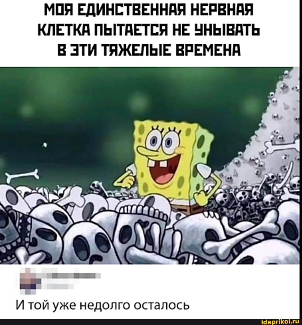 МОЯ ЕДИНСТВЕННАЯ НЕРВНАЯ
КЛЕТКА ПЫТАЕТСЯ НЕ УНЫВАТЬ
В ЭТИ ТЯЖЕЛЫЕ ВРЕМЕНА
И той уже недолго осталось