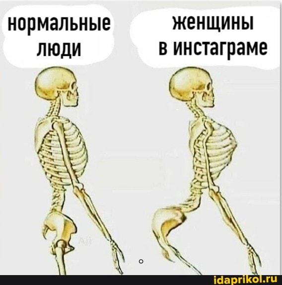 нормальные женщины
ЛЮДИ винстаграме