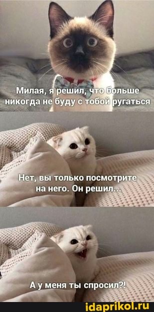 Милая, я решил, чт .
никогда ие буду с тоборугаться
Нет, вы только посмотрите на него. Он решия
'Ау меня ты спроси;