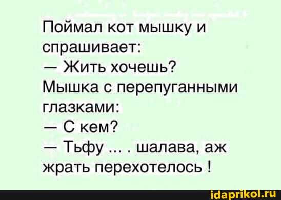 Поймал кот мышку и спрашивает:
- Жить хочешь?
Мышка с перепуганными глазками:
- Скем?
- Тьфу шалава, аж жрать перехотелось !