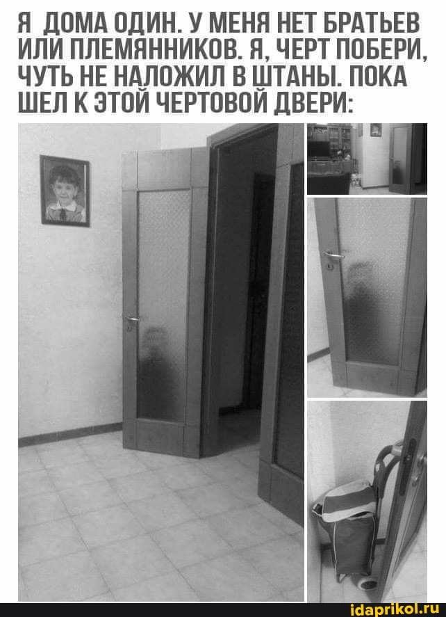 Я ДОМА ОДИН. У МЕНЯ НЕТ БРАТЬЕВ ИЛИ ПЛЕМЯННИКОВ. Я, ЧЕРТ ПОБЕРИ,
ЧУТЬ НЕ НАЛОЖИЛ В ШТАНЫ. ПОКА ШЕЛК ЭТОЙ ЧЕРТОВОЙ ДВЕРИ: