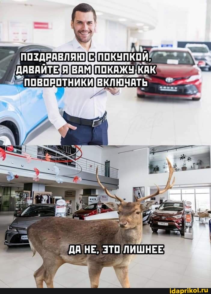 ДАВАЙТЕ Я ВА КАК поворотники} 8КЛЮчАтЬ
ДА НЕ, ЭТО ЛИШНЕЕ
