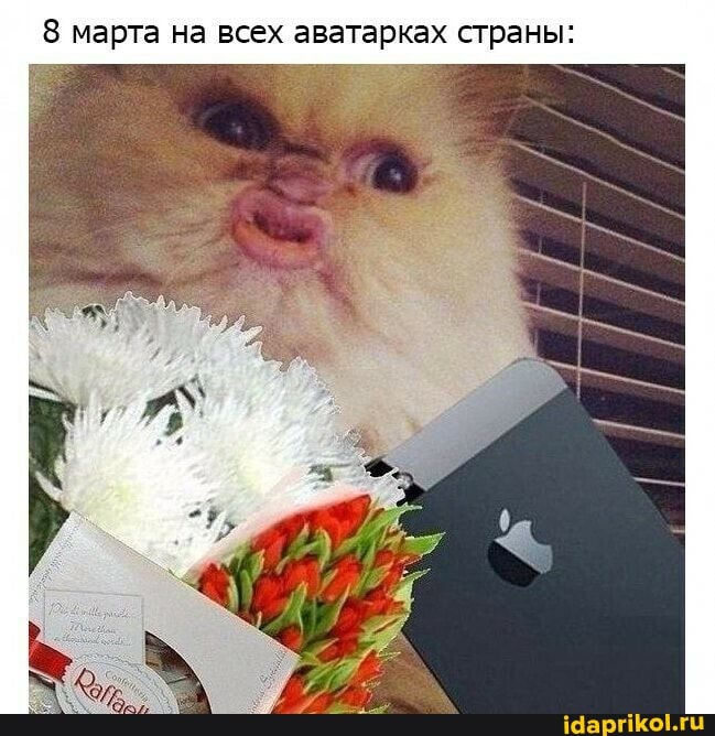 марта на всех аватарках страны: