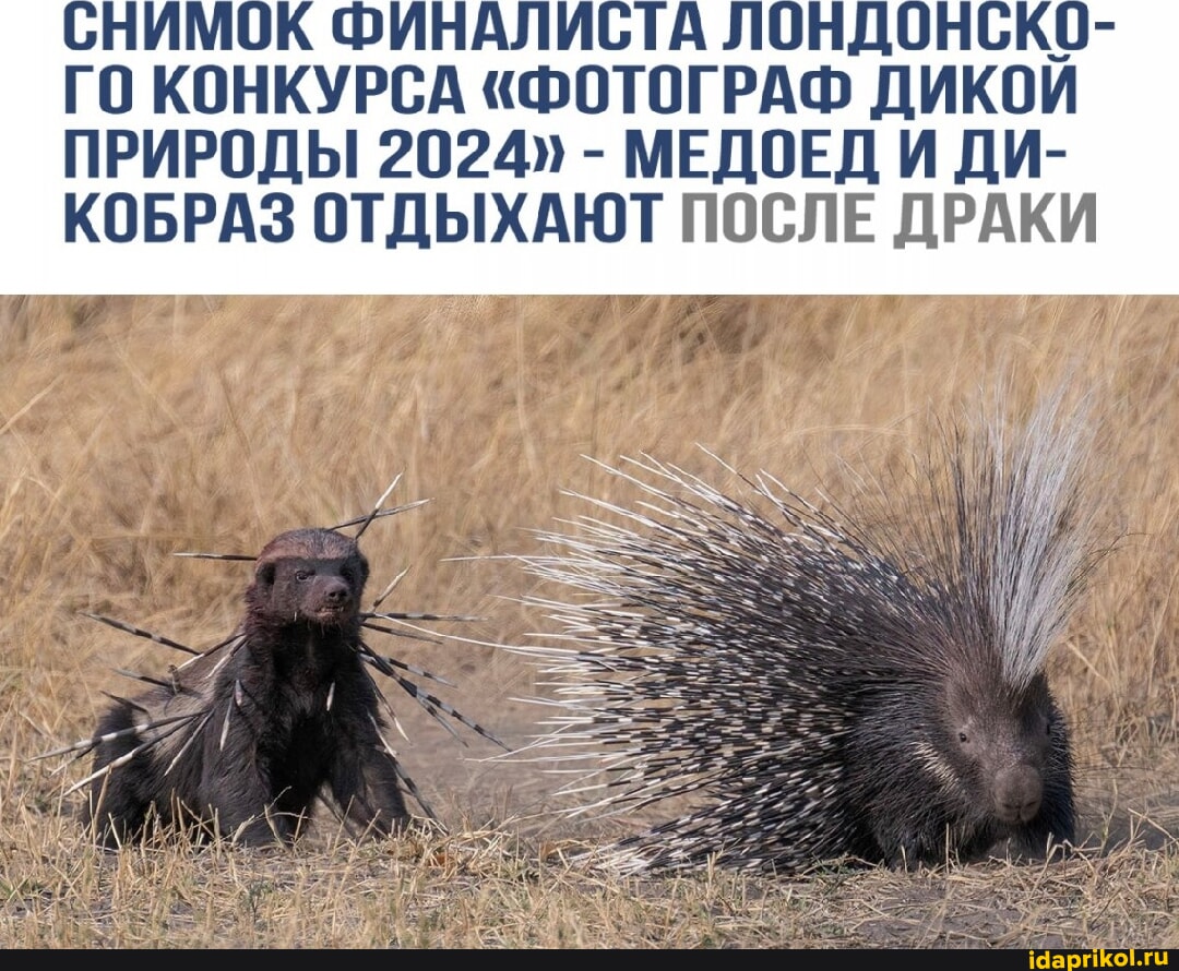 Стриптиз және дөрекі секс