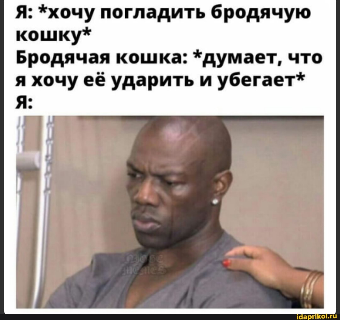 Я: *хочу погладить бродячую
кошку*
Бродячая кошка: *думает, что
я хочу её ударить и убегает*