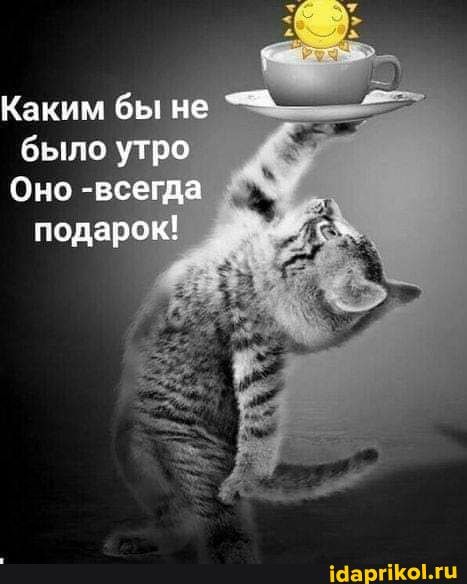 Каким бы не было утро
Оно -всегда подарок!