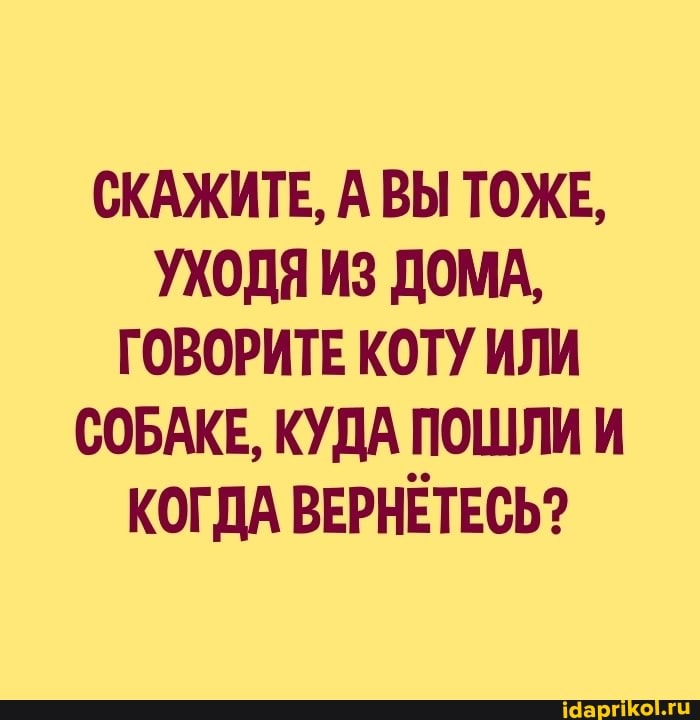 СКАЖИТЕ, А ВЫ ТОЖЕ,
УХОДЯ ИЗ ДОМА,
ГОВОРИТЕ КОТУ ИЛИ СОБАКЕ, КУДА ПОШЛИ И КОГДА ВЕРНЕТЕСЬ?