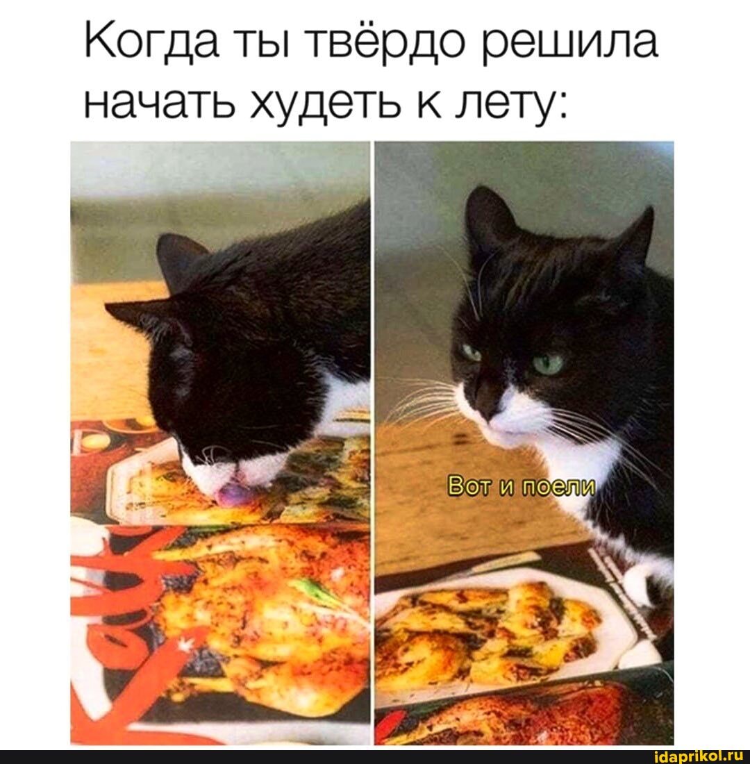 Когда ты твёрдо решила
начать худеть к лету: