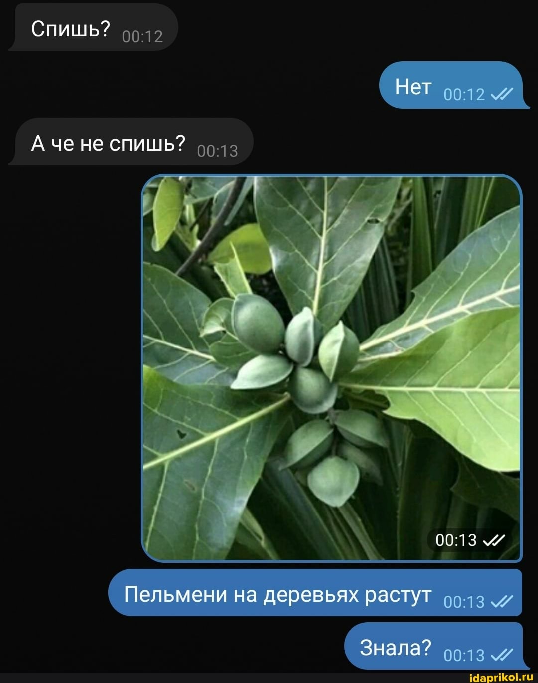 СПИШЬ?
Нет
А че не СПИШЬ?
( Пельмени на деревьях растут
Знала?