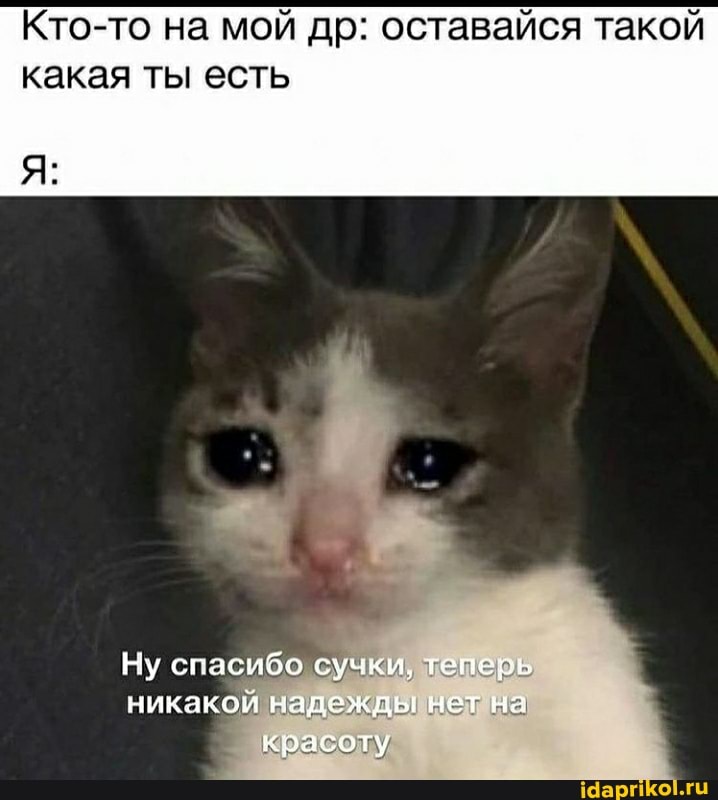 Кто-то на мой др: оставайся такой какая ты есть
Ну спасибо сучки, теперь никакой надежды нет на красоту