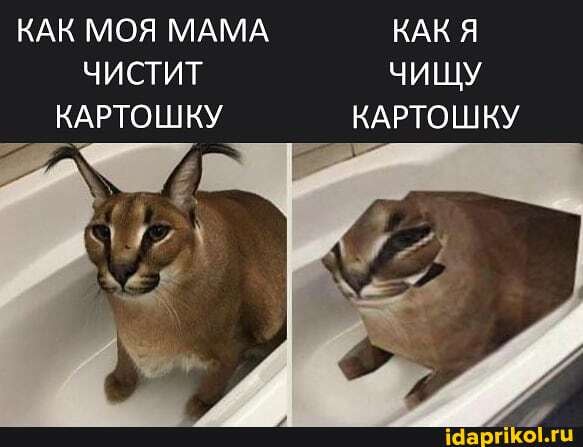 КАК МОЯ МАМА КАКЯ ЧИСТИТ ЧИЩУ КАРТОШКУ КАРТОШКУ