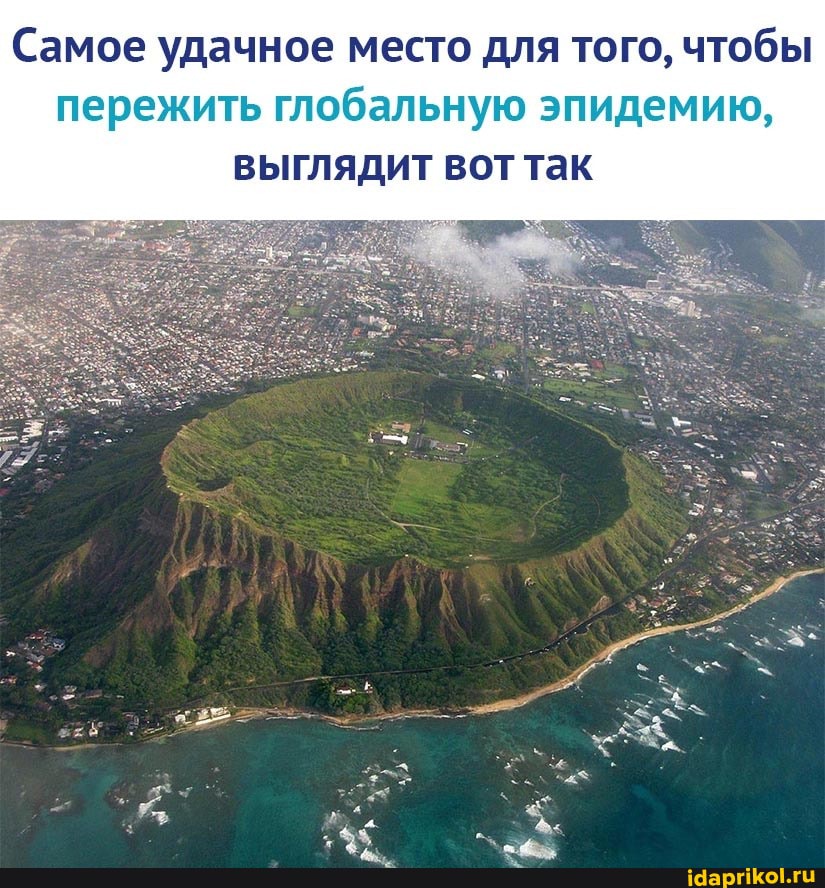 Самое удачное место для того, чтобы пережить глобальную эпидемию, выглядит вот так
