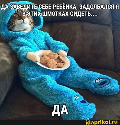 ДА ЗАВЕДИТЕ СЕБЕ РЕБЁНКА, ЗАДОЛБАЛСЯ Я В ЭТИХ ШМОТКАХ СИДЕТЬ....
