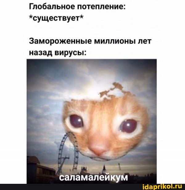 Глобальное потепление:
*существует*
Замороженные миллионы лет
назад вирусы:
i hee
саламалейкум