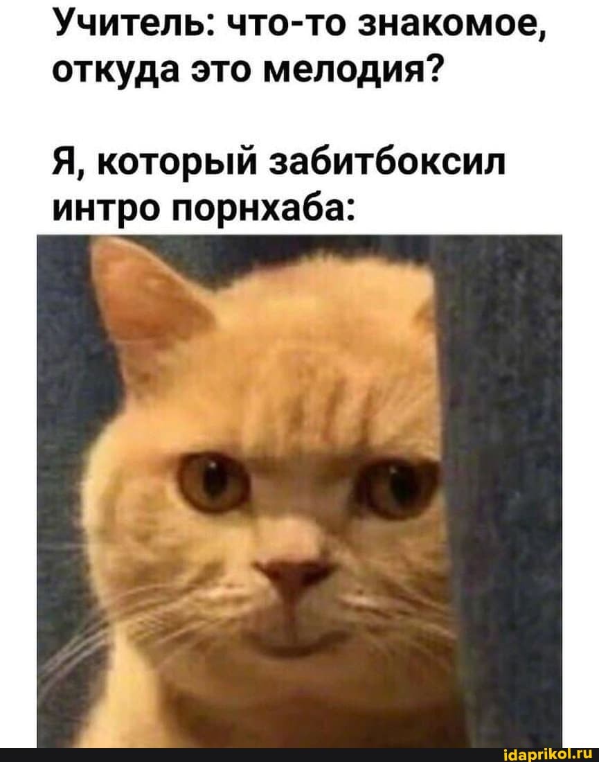 Учитель: что-то знакомое, откуда это мелодия?
Я, который забитбоксил интро порнхаба:
