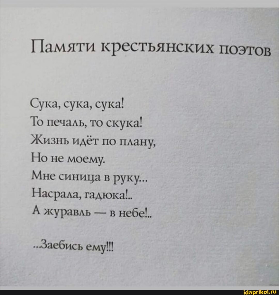 Сучка распоясалась полностью Сучка распоясалась полностью