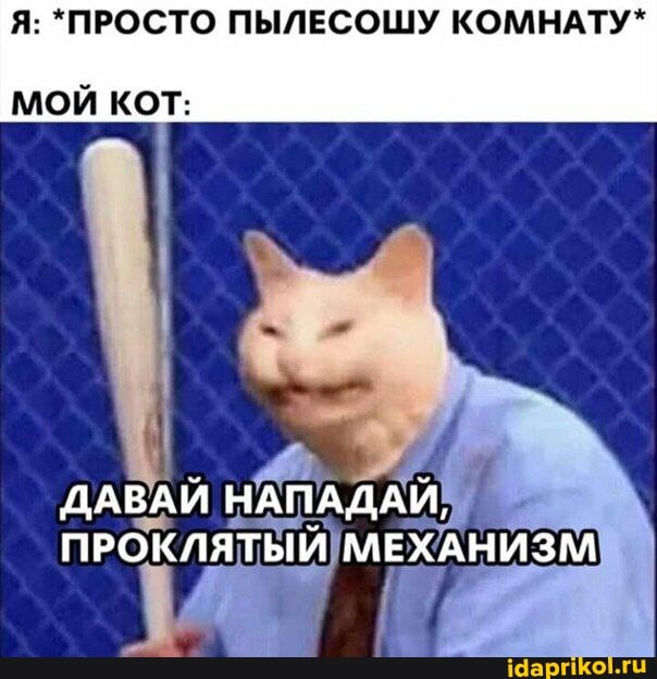 Я: *ПРОСТО ПЫЛЕСОШУ КОМНАТУ*
МОЙ КОТ:
ДАВАЙ НАПАДАЙ,
ПРОКЛЯТЫЙ МЕХАНИЗМ