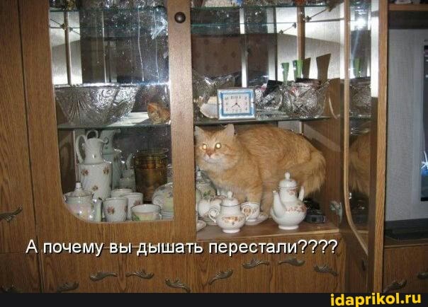 почаму вы дышать перестали???