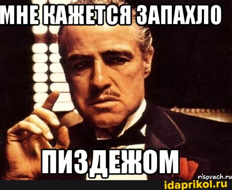 https://cdn.idaprikol.ru/images/8c10a7f02709c63e9007eb8b41efc4067bb376315409a049f6c1bafd48e80897_1.jpg
