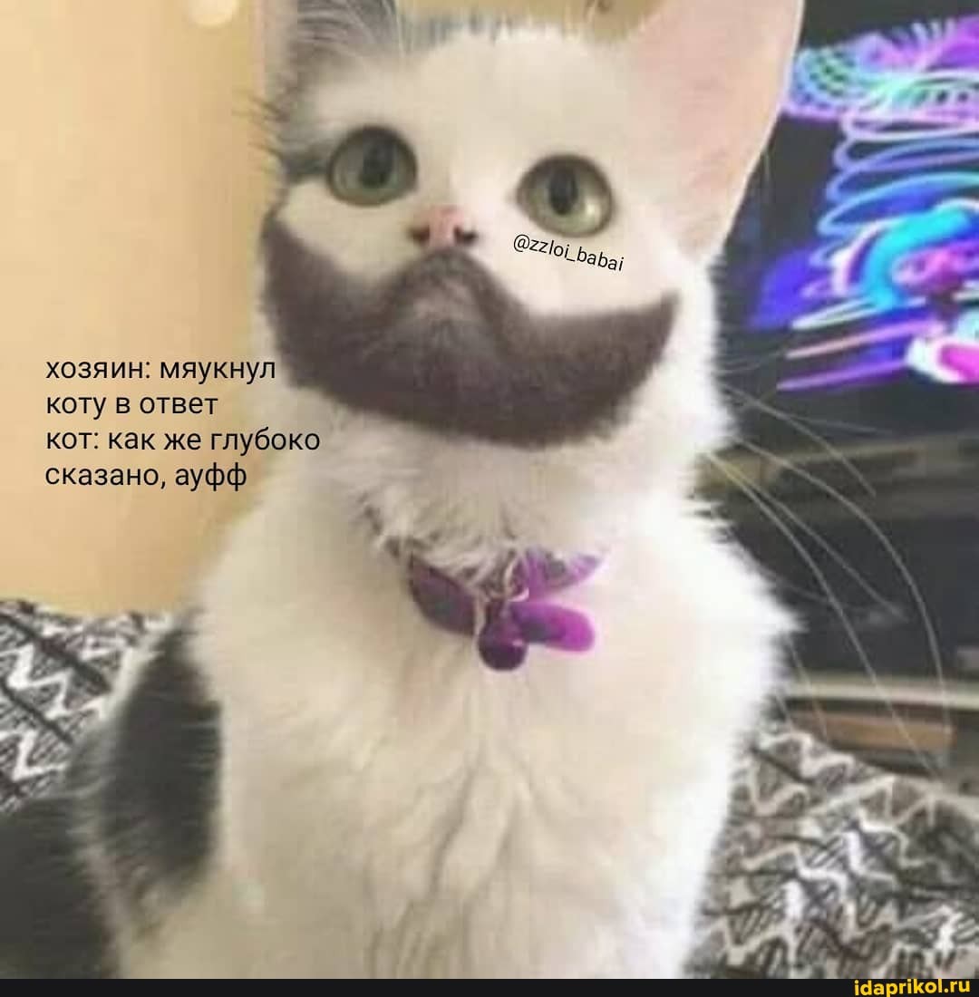 коту
кот: как же глубоко