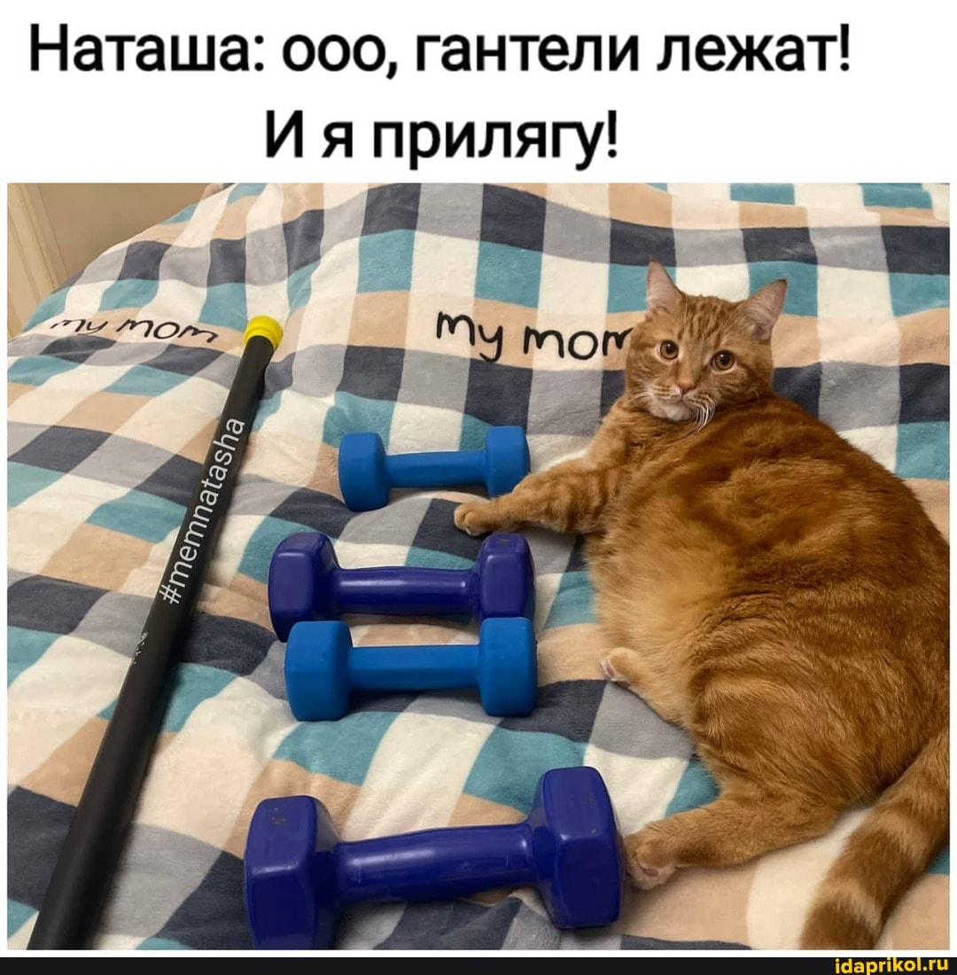 Наташа: ооо, гантели лежат!
Ия прилягу!