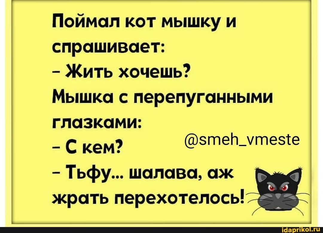 Поймал кот мышку и спрашивает:
- Жить хочешь?
Мышка с перепуганными глазками:
- С кем?
- Тьфу... шалава, аж жрать перехотелось!