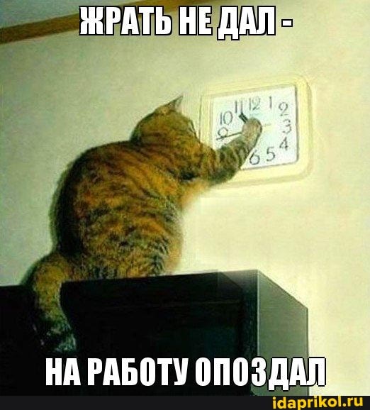 ЖРАТЬ НЕ ДАЛ -
НА РАБОТУ ОПОЗДАЛ