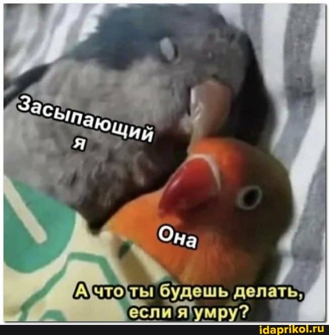 будешь делать,