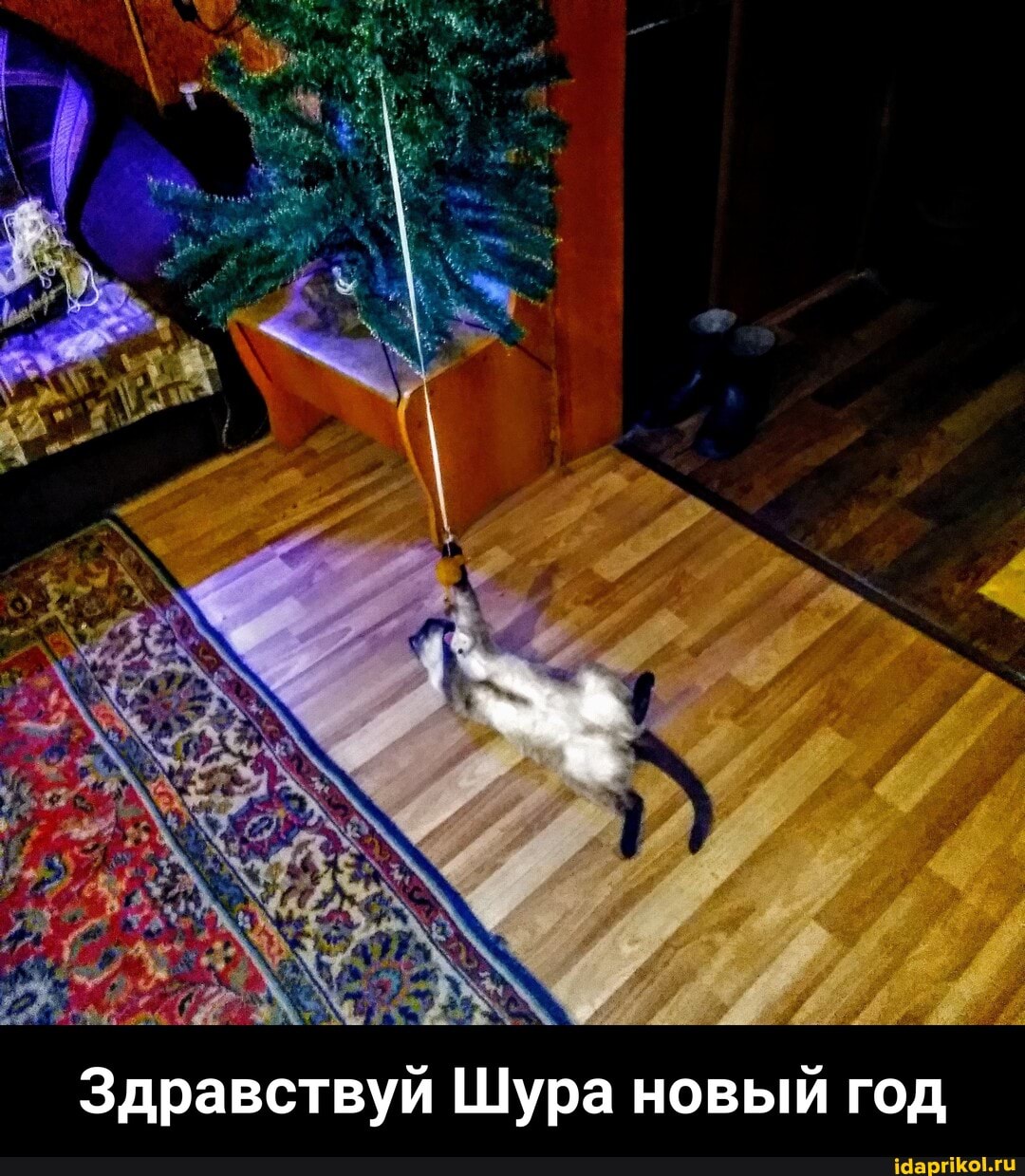 Здравствуй Шура новый год - Здравствуй Шура новый год