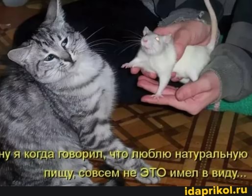 блю натуральную се имел виду...