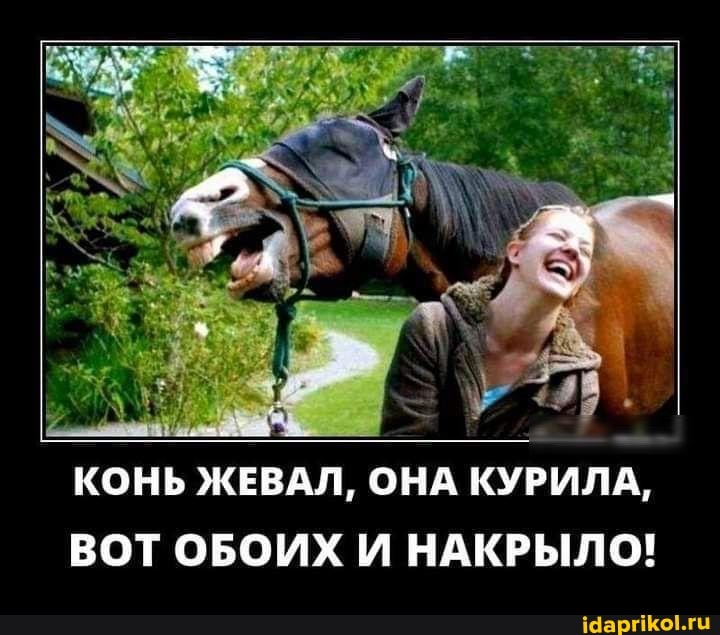 КОНЬ ЖЕВАЛ, ОНА КУРИЛА,
ВОТ ОБОИХ И НАКРЫЛО!